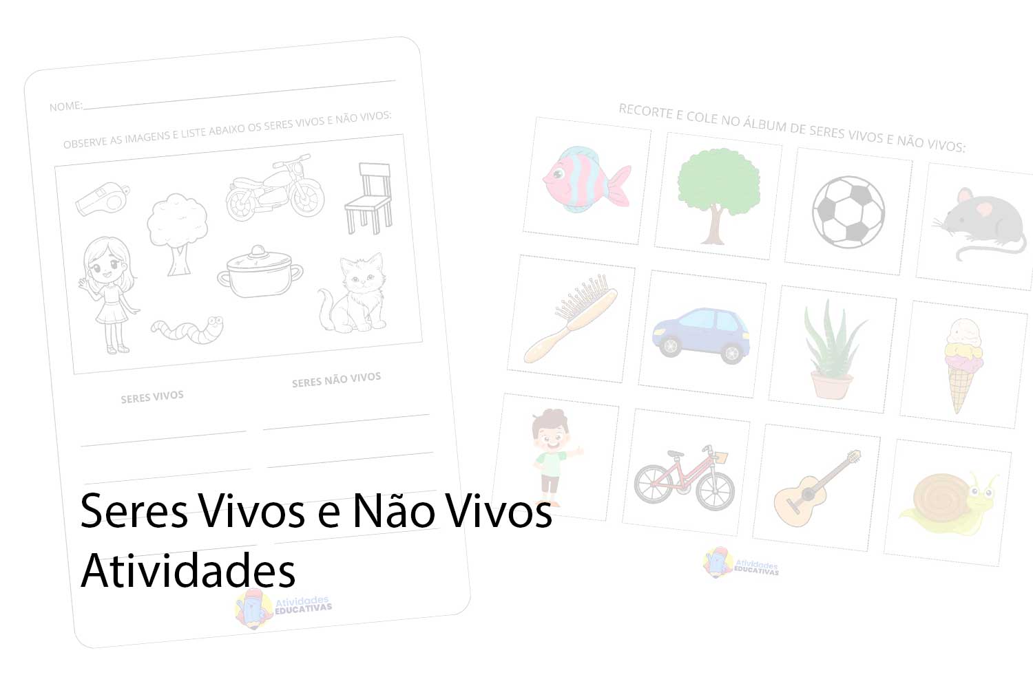 seres vivos e não vivos atividades