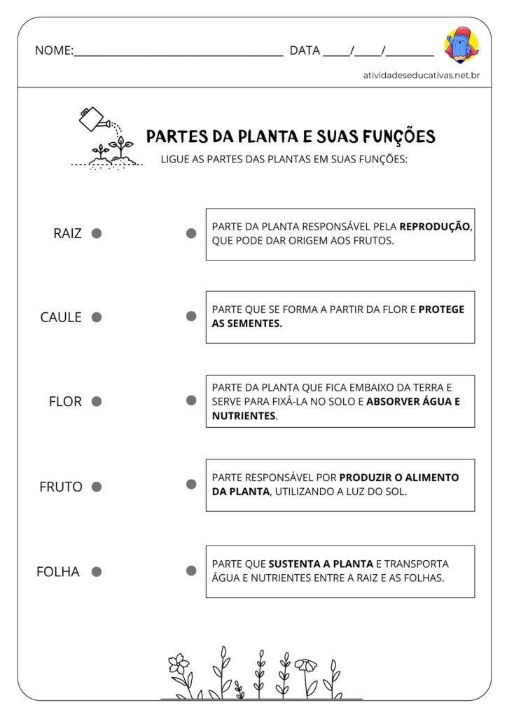 Atividade Partes das Plantas e suas Funções - Ligue