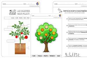 Atividades Partes das Plantas